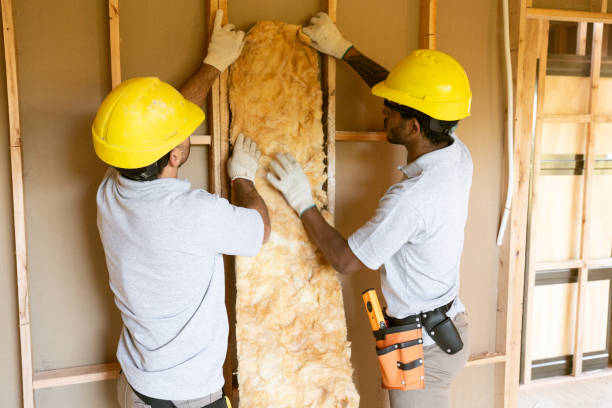 Best Radiant Barrier Insulation  in Sandy Oaks, TX